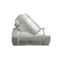Filtre fileté Y en acier inoxydable Ss316 CF8M de 1 pouce pour l'eau