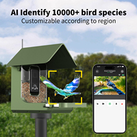 Caméra d'identification d'espèces d'oiseaux intelligente IA personnalisée 4K avec support sur poteau Birdify pour la faune sauvage du jardin – Cadeaux pour les parents