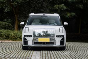 Zeekr 009 2022 d'occasion, édition <span class=keywords><strong>Me</strong></span>, longue autonomie, électrique, 6 places, monospace, conduite à gauche, grand SUV, véhicules à énergie nouvelle abordables - Product Image 3