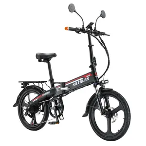 KETELES 2024 fabrika doğrudan satış 350W S9 arka Hub Motor Ebike 20 inç elektrikli bisiklet 13AH lityum pil elektrikli bisiklet