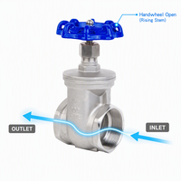 Válvula de Compuerta de 1 Pulgada CF8 SS304 200 WOG con Rosca NPT, Válvula de Compuerta de Acero Inoxidable con Volante Azul para Agua, Aceite y Gas