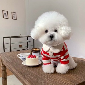 Conjuntos de diseñador para perros con cuello, bonita camiseta Polo a rayas para perros pequeños, camiseta de verano para mascotas para cachorros pequeños y medianos - Product Image 3