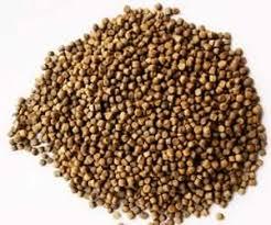 Extrusora doble de alimentación de peces, máquina de paletización flotante, fabricación de alimentos de peces - Product Image 4