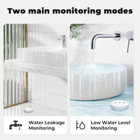Home Assistant App Surveillance à distance Zigbee Capteur d'eau Tuya Détecteur de fuite d'inondation pour cuisine/salle de bain