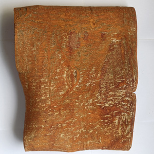 Écorce de cannelle pelée, stockage en endroit frais et sec, processus de séchage AD, épices et herbes uniques - Product Image 1