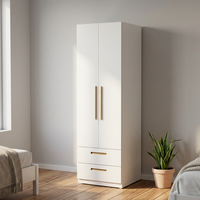 Armoire à vêtements autoportante moderne en acier, placard métallique laminé à froid avec 2 tiroirs pour le rangement des chambres d'appartements et d'hôtels