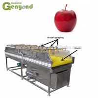 Eenvoudige Bediening Fruitpers Riem Juicer Machine