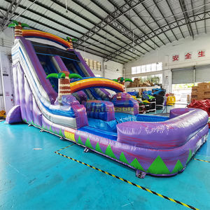 Castillo inflable comercial con piscina, tobogán acuático inflable, resbaladilla acuática tropical morada para niños - Product Image 1