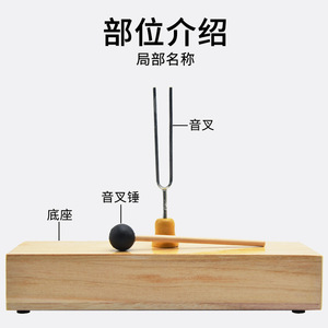 การทดลองทางอะคูสติกของโรงเรียนมัธยมต้น การสอนการทดลองด้วยส้อมเสียง 256Hz กล่องลำโพงไม้แบบสะท้อนเสียง การทดลองทางอะคูสติกทางกายภาพ - Product Image 3