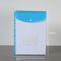 Carpeta de Archivos Transparente A4, Organizador de Documentos de Colores con Bolsillo para Tarjetas de Presentación y Cierre de Botón