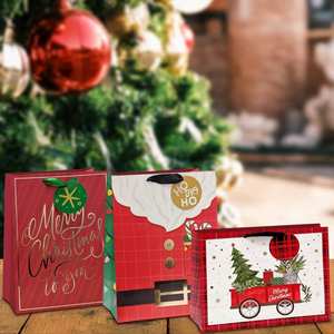 Beautiful Paper <b>Christmas</b> Bags with Ribbon Handles and Blank Tag - Product Image 6