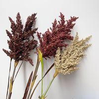 Vente en gros blanc beige brun Astilbe fleur herbe de pampa vintage romantique grande herbe de pampa artificielle pour la décoration de mariage
