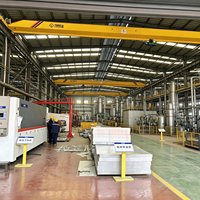 Promotion : Pont roulant monopoutre LD 5 tonnes avec télécommande sans fil