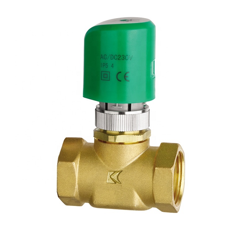 BRASS Water Control Safety Valve for