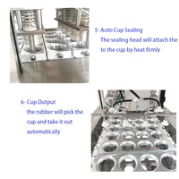 Machine de remplissage et de scellage de gobelets en plastique Jelly Pudding de type continu usine de fabrication de machines de remplissage de solutions