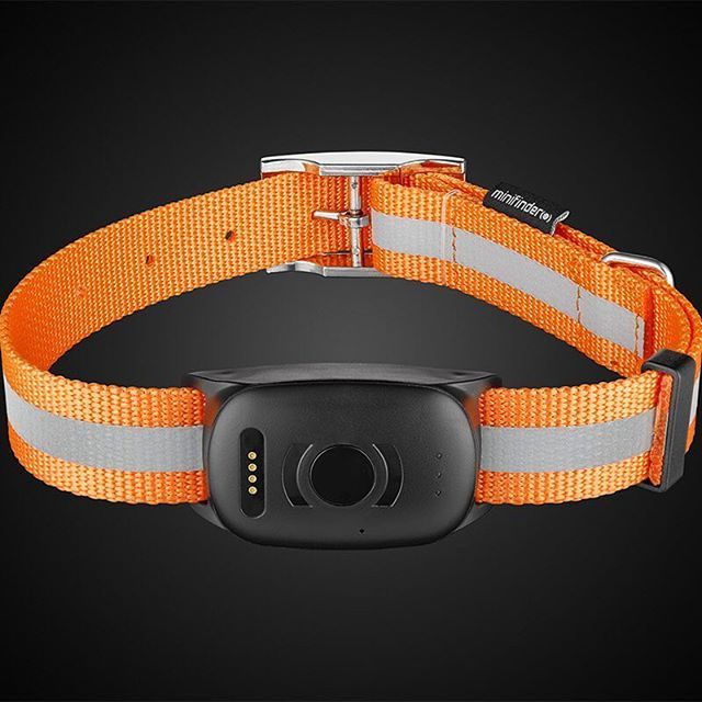 Jps Ev201 Gps Dog Collar tracker