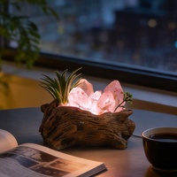 Lampe d'ambiance USB en cristal naturel brut, base sculptée à la main en racine blanche, lampe de chevet en pot pour la maison