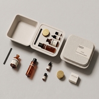 Diffuseur de parfum OBM pour voiture, flacon d'aromathérapie, distributeur d'huile parfumée, flacon pulvérisateur à fine brume avec boîte