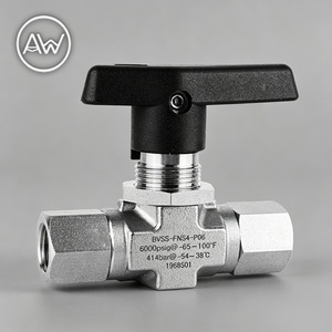 Vanne à bille en acier inoxydable AW, filetage interne 1/2 pouce, interrupteur manuel à deux voies pour gaz, eau, huile, usage industriel - Product Image 1