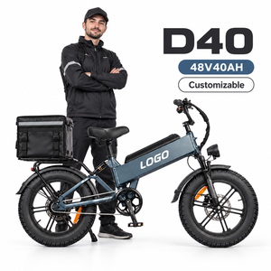 Vélo utilitaire électrique D40 750W 48V40AH Pneu 20 pouces Capacité 200 kg Approvisionnement direct usine OEM - Product Image 1