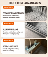 Nouveau 2026 FATERSI Meilleure Vente Accessoires de Penderie Domestique Panier de Rangement Coulissant Réglable en Aluminium et Rotin