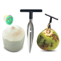 Ouvre-noix de coco en acier inoxydable, poinçon utile, ouvre-noix, perceuse d'ouverture, spatule Portable, outil de perçage, 1 pièce, CL609