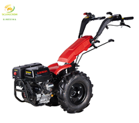 Arado Rotatorio Simple para Recuperación de Tierras de Huertos e Invernaderos con Ancho de 25 cm, para Trabajar Tierras Duras