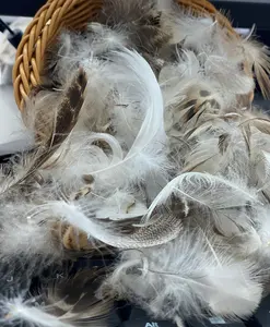 Le matériau en duvet Linda 2-4 cm peut être utilisé pour remplir la plume de canard gris pour les textiles de maison et l'artisanat en plumes