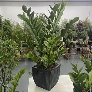 Factory Wholesale 80cm Fengshui Zzplant Money Tree Artificial <strong>Plant</strong> for Home Decor - Product Image 4