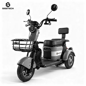 Tricycle électrique intelligent SIGOTECH OEM, longue portée, batterie 60V, trois roues, scooter électrique étanche pour personnes âgées - Product Image 1