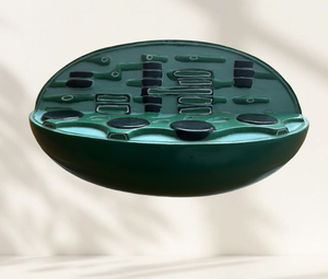 Modelo Biológico 3D de Cloroplasma HSBM-558 de Gelsonlab para Educación - Product Image 6