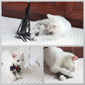 SONGWAY Ensemble de jouets pour chat de luxe réalistes, série noire, baguette rétractable avec plumes, 6 clochettes de remplacement - Product Image 6