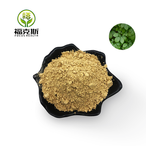 ジペノシド80% 98%  糸霊芝葉エキス / ギノステマ・ペンタフィルムエキス粉末 糸霊芝エキス 5:1 10:1 20:1 30:1 50:1 - Product Image 2