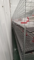 Cage à poulets à 2 portes, 3 couches, avec fil de 2,0 mm, capacité 60 oiseaux, résistance standard