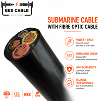 Câble sous-marin marin 12/20(24)KV CU XLPE avec gaine PE, câble à fibres optiques étanche, 50MM2 pour l'Europe, le Portugal et l'Allemagne