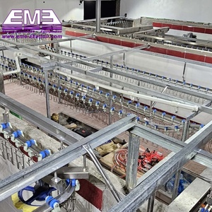 Machine à abattre les poulets, machine à plumer les poulets automatique pour l'équipement de <span class=keywords><strong>boucherie</strong></span> avicole - Product Image 2