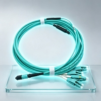 Cable de Conexión de Fibra Óptica LSZH 10G MPO-LC OM4 Multimodo de 8 Núcleos para Centro de Datos