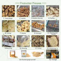 La poudre automatique cristallisée de gingembre de curcuma d'oignon font la ligne de production de traitement de gingembre sec de machine