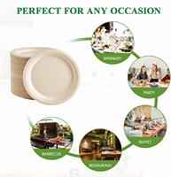 Assiettes rondes en canne à sucre biodégradables de qualité alimentaire, assiettes jetables compostables pour pique-nique et fêtes