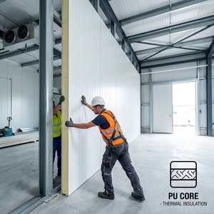 Panneaux sandwich PU PIR modernes, légers, écologiques, ignifuges et résistants à l'eau, <span class=keywords><strong>prix</strong></span> usine, vente en gros - Product Image 6