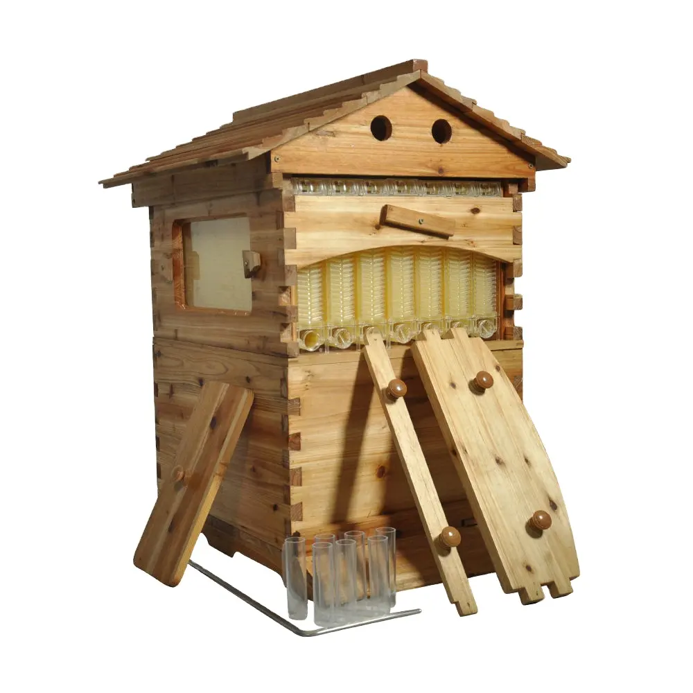 Colmenas automáticas de madera para abejas, Marcos automáticos, equipo de apicultura, herramienta, colmena, marco de nido de miel de flujo libre, base de nido, colmena