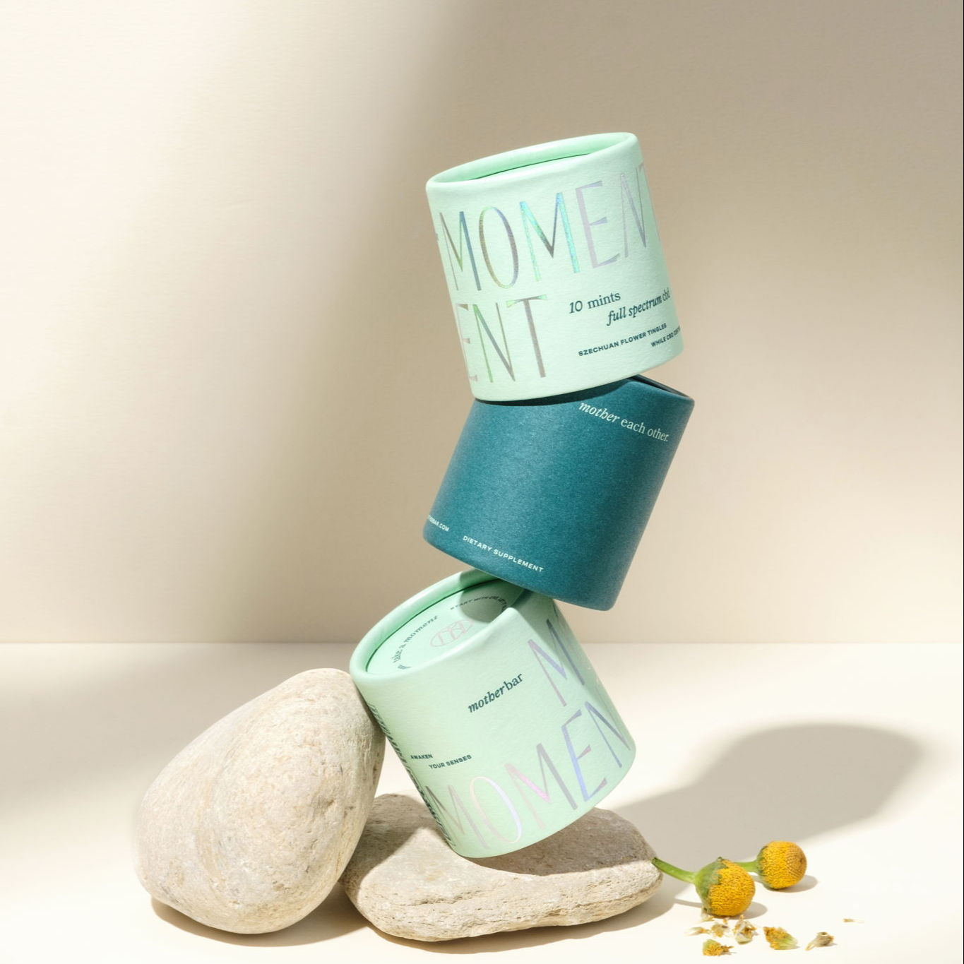 tea cylinder box biodegradable