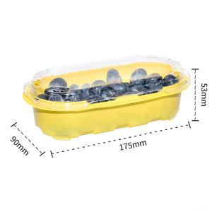 Bán Buôn Dùng Một Lần Nhựa Thực Phẩm Cấp Pet 250G Có Thể Tái Chế Trái Cây Tươi Blueberry <span class=keywords><strong>Raspberry</strong></span> Bao Bì Hộp - Product Image 3
