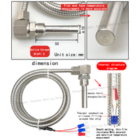 Sonde spéciale télescopique pour mesure de température des roulements de moteur, capteur de température PT100, résistance en platine à extrémité ouverte, OEM ODM IP65