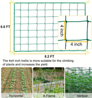Treillis de jardin de haute qualité pour plantes grimpantes - Filet de plantation en PE pour tomates, concombres, haricots
