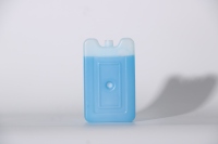 Bloc de glace en plastique PEHD OEM réutilisable personnalisé vente en gros bloc de glace boîte de bloc de congélateur brique de glace