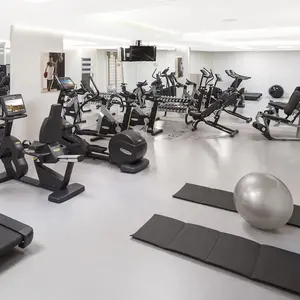 China Profesional Indoor Gym Fitness Club Conjunto completo de fabricante de equipos de gimnasio comercial en Guangzhou