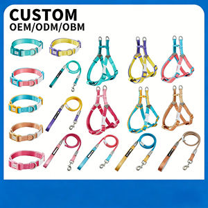 Ensemble Harnais et Laisse pour Chien Durable Bicolore, Gilet Respirant pour Animaux de Compagnie, Collier pour Chiens de Petite, Moyenne et Grande Taille, Idéal pour la Marche en Extérieur - Product Image 1