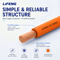 Cable de Alta Tensión para Vehículos Eléctricos de 600/1000V, Sin Blindaje, Impermeable IP67, Cable de Alimentación con Aislamiento XLPE EVR