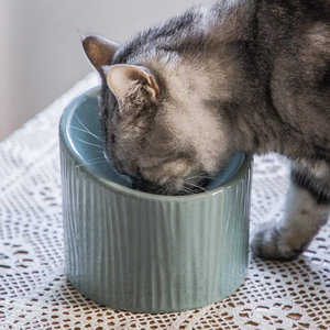 Gamelle personnalisable en céramique pour animaux de compagnie, mangeoire en <span class=keywords><strong>porcelaine</strong></span> en forme de cœur pour <span class=keywords><strong>chien</strong></span>, gamelle surélevée à bouche oblique, texture rayée - Product Image 6